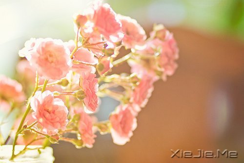 我不怕长大，而是怕你们老去 (1)