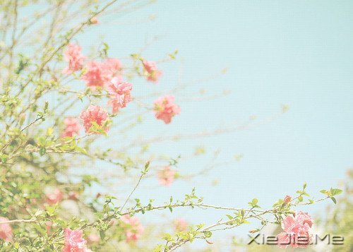 找一个属于自己的地方，在眼泪中懂得遗忘的伤 (9)