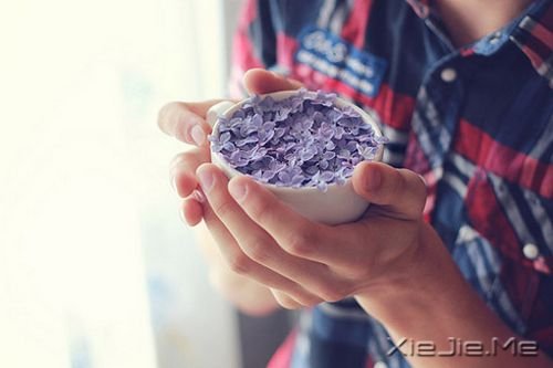 早安心语：人生是一场错过，愿你别蹉跎 (1)