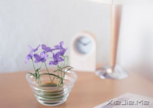 早安心语：人生是一场错过，愿你别蹉跎 (4)