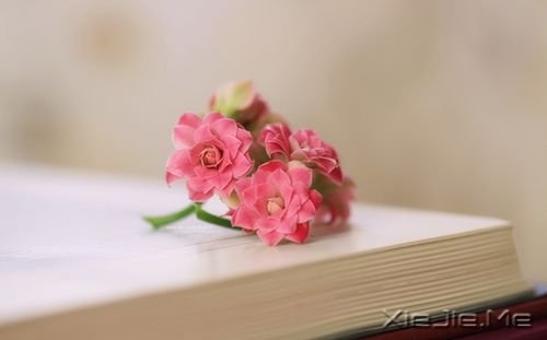 早安心语：人生是一场错过，愿你别蹉跎 (5)