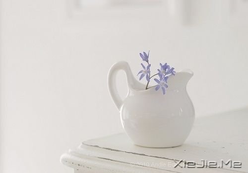 早安心语：千万个美丽的未来，抵不上一个温暖的现在 (7)