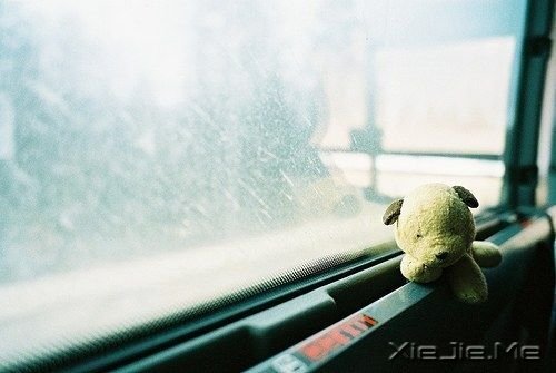 晚安心语：成长就是逼着你一个人去坚强 (4)