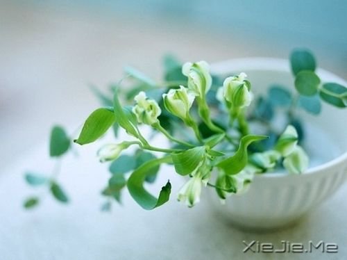 晚安心语：与其担心未来，不如现在好好努力 (2)