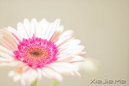 没有回应，就是黑暗；有回应，就有了光