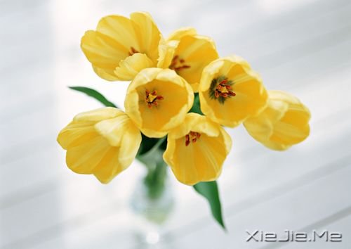 很美的十封信